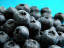 Blueberries3